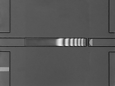 Fully released fabrcated cantilever.